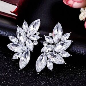 Crystal Cluster Statement Stud Earrings